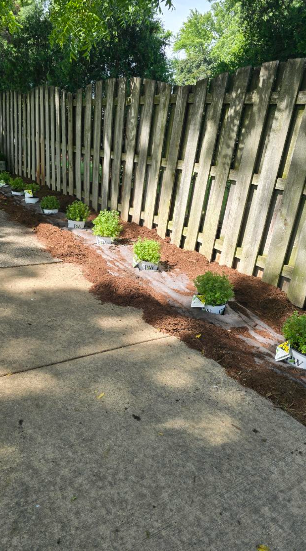 Sod installation West Chicago IL